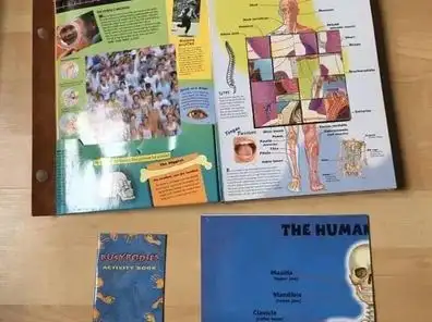 My Big Block Body Atlas $35 (Board book) in Children & Young Adult in Oakville / Halton Region - Image 5