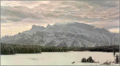 Awesome Land American Elk by Robert Bateman, View more