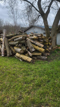 free firewood 