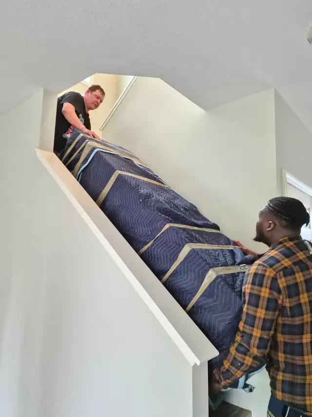 Local Experienced Movers557918742234408966