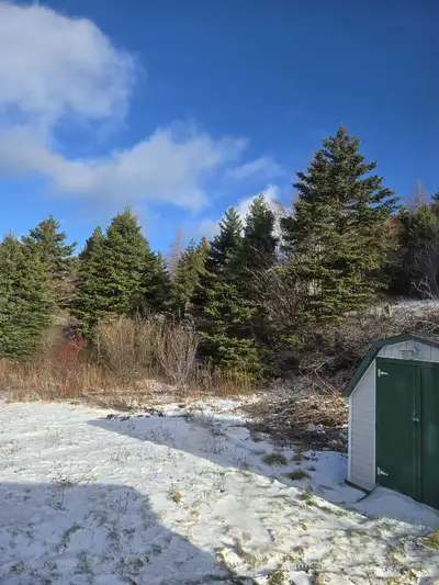 Looking for someone to clear wood , View more