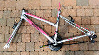 Women's Mountain bike frame