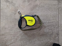 10ft Retractable Dog Leash