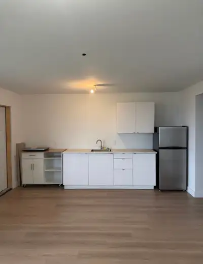 Brand-new studio basement apartment for rent July 1 in Timberlea NS Located in a quiet, newly develo...