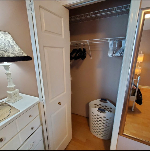 Spacious furnished room for rent in Walnut Grove, Langley Room