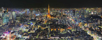 Tokyo Skyline large fine art print / Impression photo