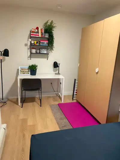 LEASE STARTING 1ST SEPT - 1 Year Lease Looking for a female to occupy the room, please note it will...