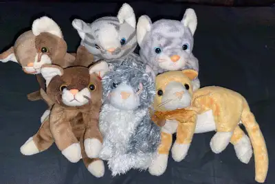 Price is for the lot…pickup Niagara Falls…shipping available Cats are named: Pounce x 2, Prance, Sil...