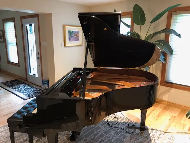 YAMAHA DC1 Grand Piano with Disklavier62863273700739122