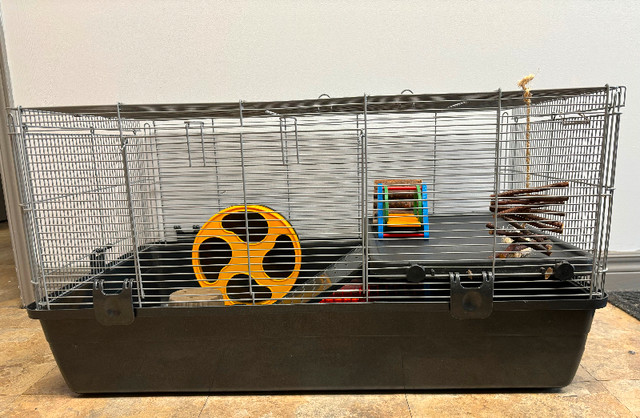 Hamster Cage with silent wheel and accessories. in Accessories in Markham / York Region - Image 4