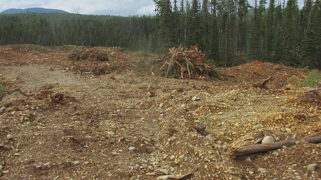 Summit Creek Gold Claims Near Barkerville in Other in Quesnel