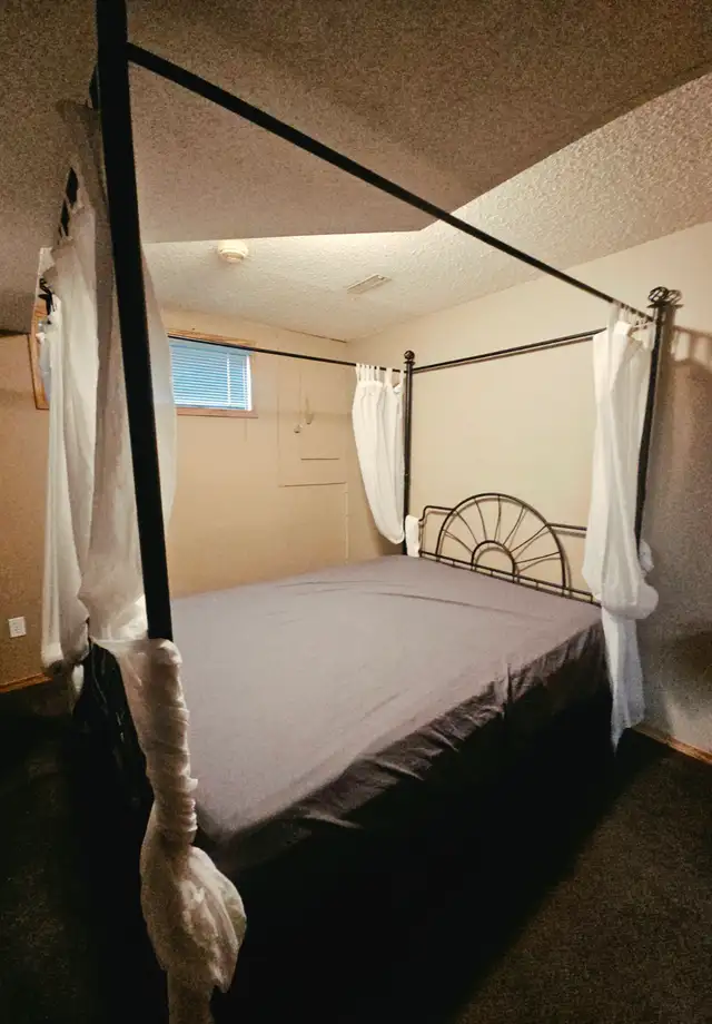 Black Iron Canopy Bed Frame