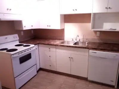 August 1 Possession - Pets Allowed - 2 Bedroom Basement for Rent