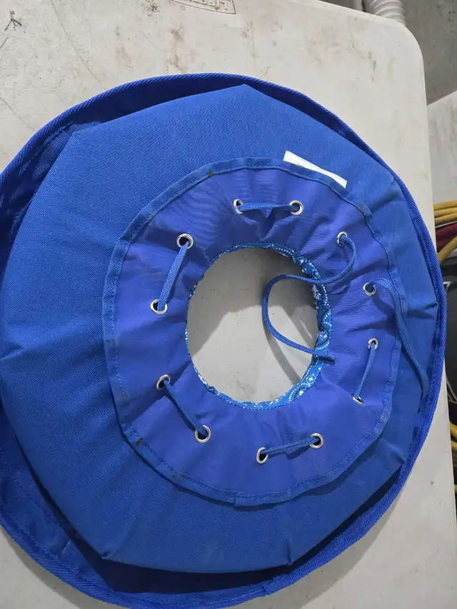 Medium Dog Cone in Accessories in Saskatoon - Image 3