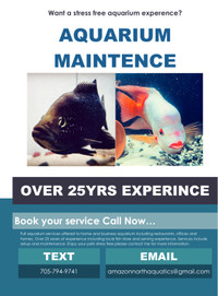 aquarium cleaning service in All Categories in Ontario - Kijiji Canada