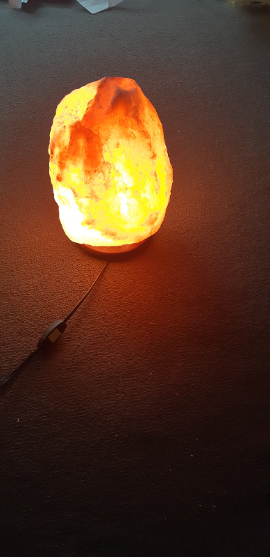 Amazing Himalayan Salt Lamp in Other in Vancouver