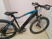 Electric bike for sale 750w moscow M3