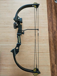 Youth compound bow
