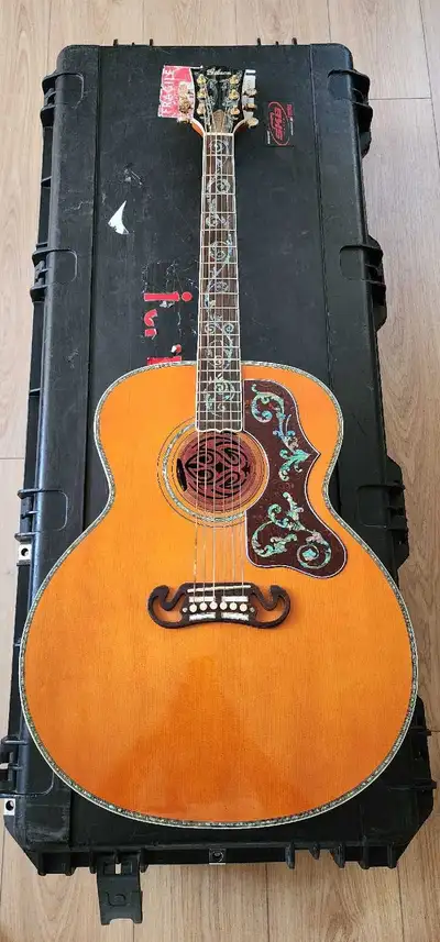 Chinese J200 With 2 pickups, View more