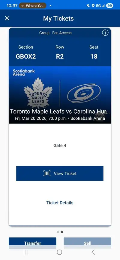 Toronto Maple Leafs vs Hurricanes - Gondola - March 20th, View more