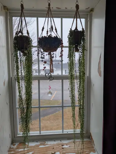 String of Pearls in Handmade Hangers, View more