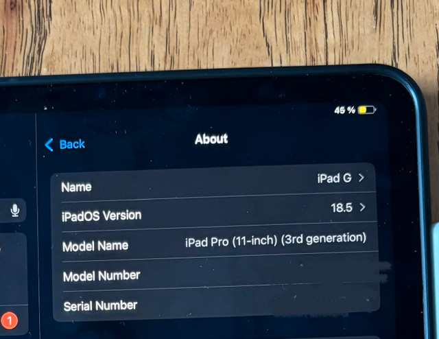iPad Pro M1 128gb + case + Apple Pencil 2 in iPads & Tablets in Barrie - Image 4