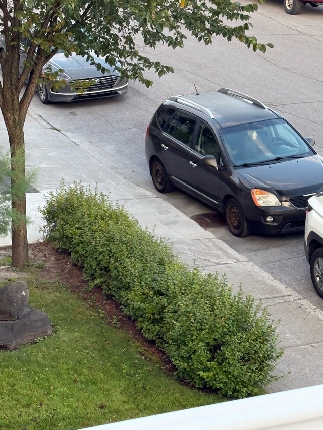 Kia Rondo — photo 2