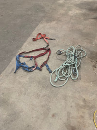 Safety harness kit