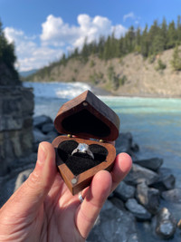 New 2 Carat Diamond Moissanite Ring