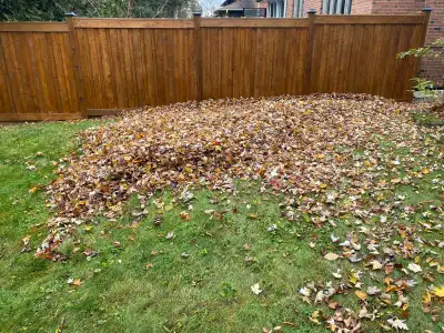 Lawn Maintenance, View more