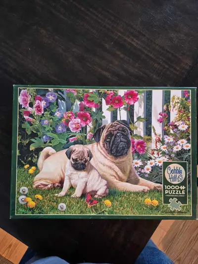 Cobble Hill 1000 piece puzzle, View more