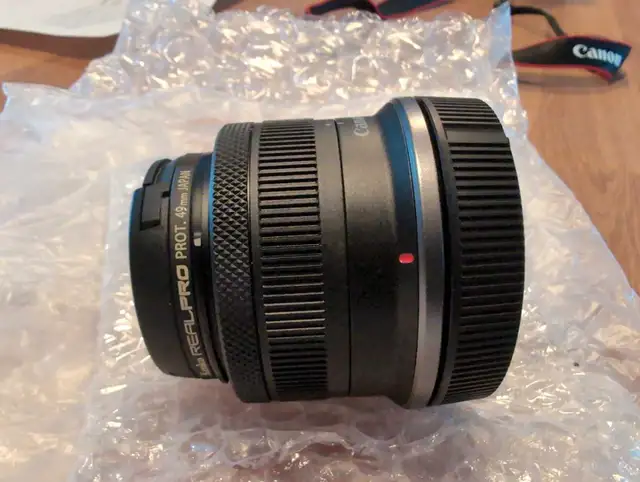 Canon RF-S 18-45mm f/4.5-6.3 IS STM62863271138178121