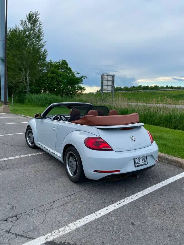 Beetle Convertible498589186529044486