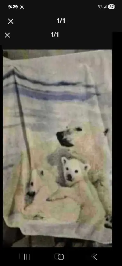 Polar bear blanket , View more