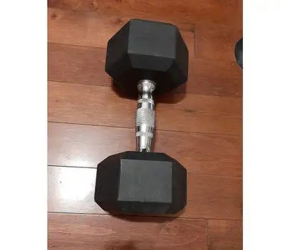30 lb hex Dumbbell, View more