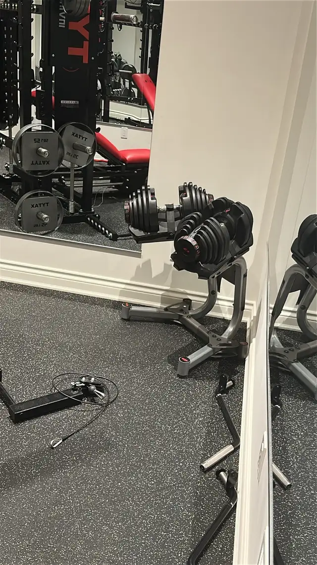 Bowflex Dumbell/rack569698190015877121