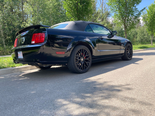 Mustang GT convertible less than 50km in Cars & Trucks in Edmonton - Image 4