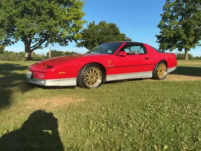 1985 TRANS AM (sell or trade), 305 v8, automatic, power steering, power brakes, power driver seat, p...