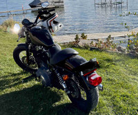 Harley Davidson Nightster 1200 