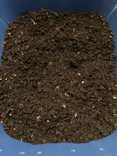 Boost Your Garden with “Black Gold” Worm Castings! Looking to transform your soil and grow the healt...