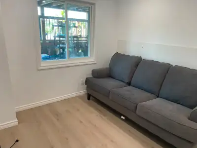 Bright one bedroom apartment in walk-out basement with private entrance. Newly renovated with quartz...
