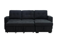 L shape Sectional With sofa bed for only $699.