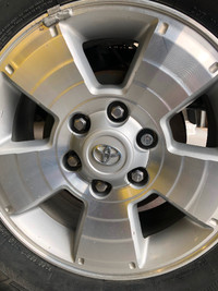 Toyota Tacoma OEM Wheels