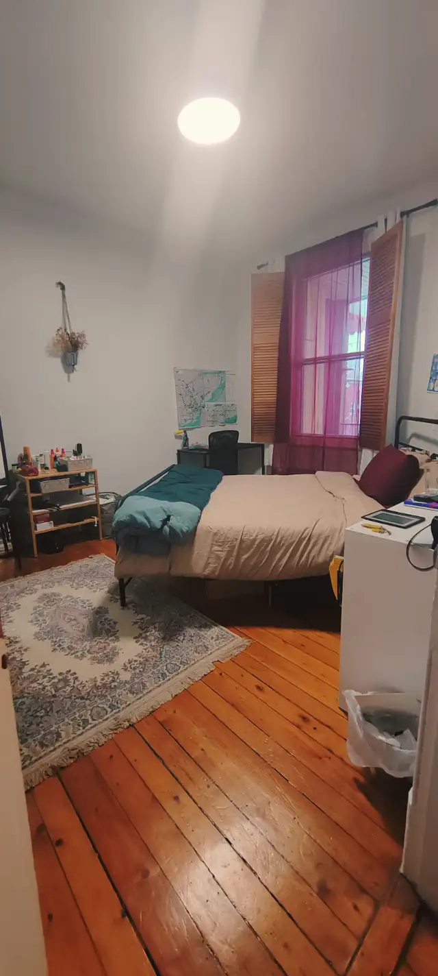 Grande chambre sur le Plateau – coloc 4 personnes – dispo mi-déc in Room Rentals & Roommates in City of Montréal - Image 2