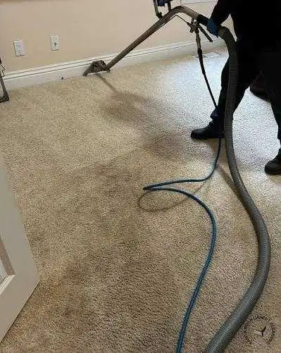 Shampoo Cleaner For Carpets&Area Rugs, View more