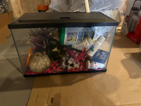 Fish tank and all supplies you need 