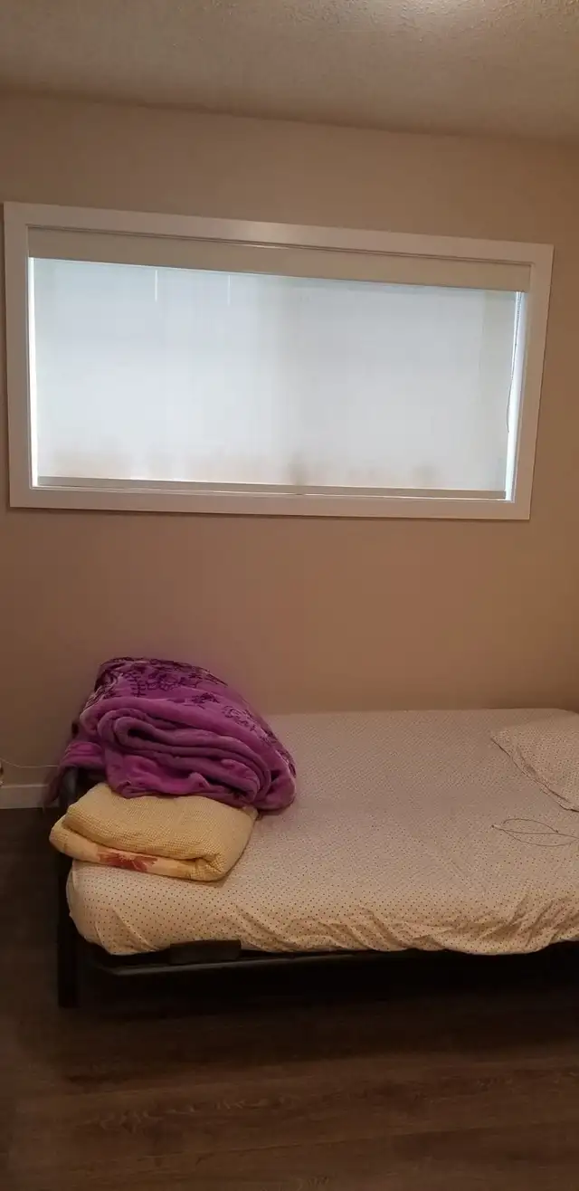 QTPOC space looking for new roommate in Room Rentals & Roommates in Vancouver - Image 8
