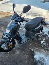 Scooter Typhoon neuf