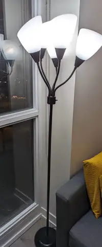 Floor lamp 