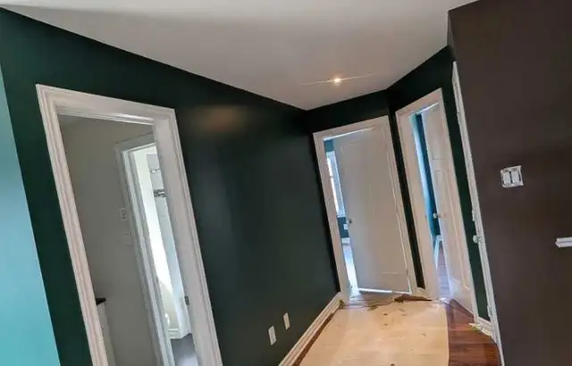 PROFESSIONAL OTTAWA PAINTER! 613-262-3721577405994235351043